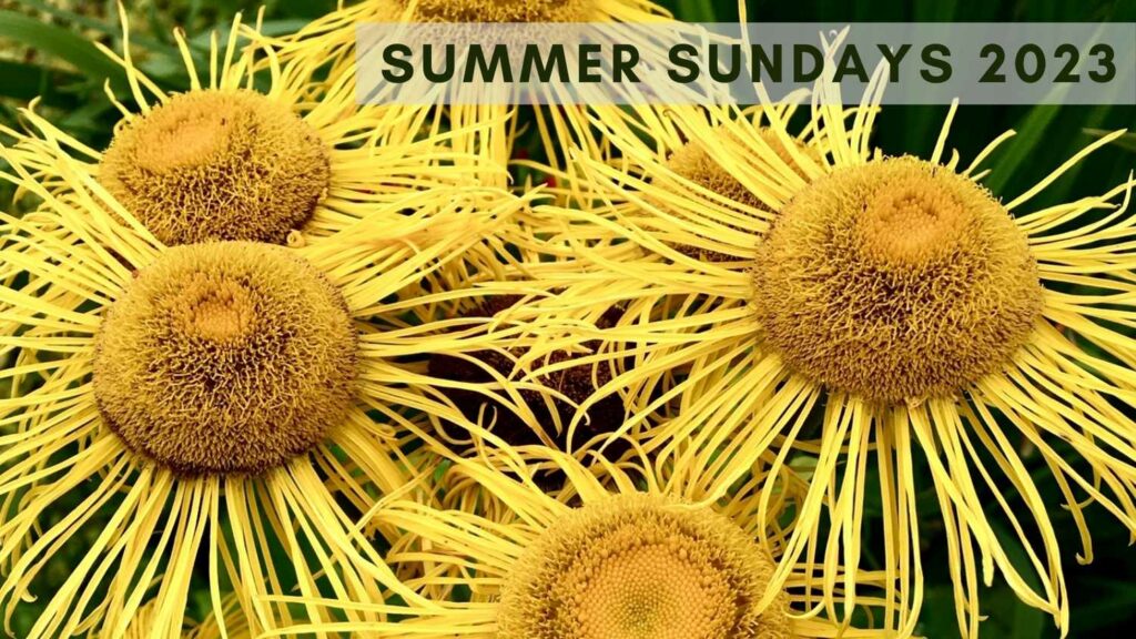 Summer Sundays 2023 medium