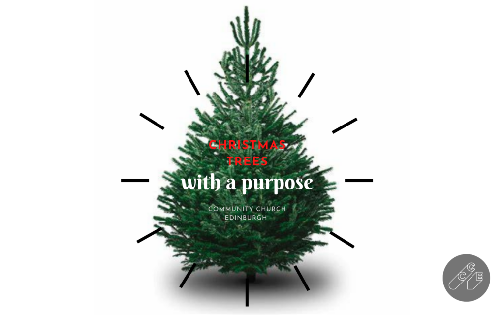 christmas tree with a purpose. 1280 x 800. png
